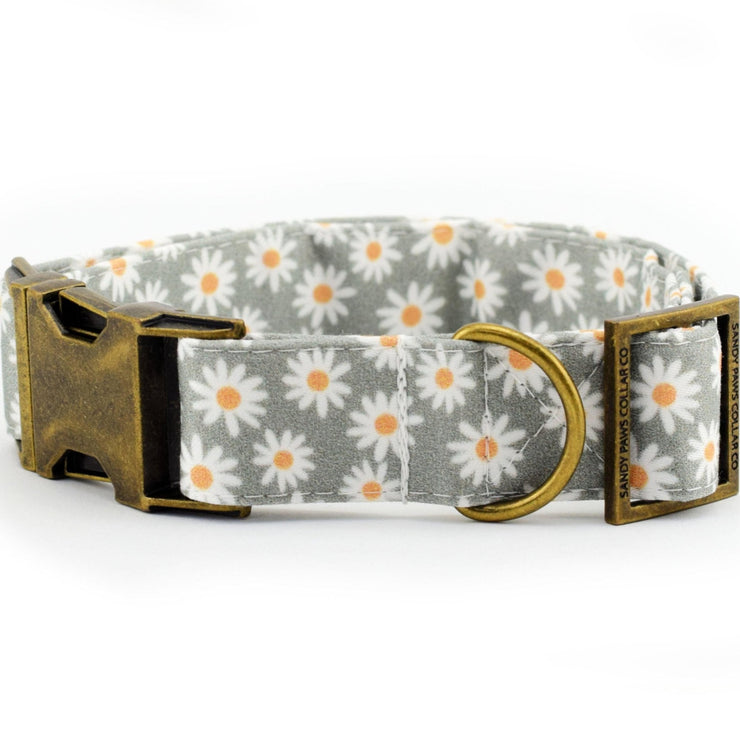 Daisy Dog Collar - Sage ~ Floral Fabric Dog Collar ~ Cute Dog Collar ~ Girl Dog Collar ~ Antique Bronze Hardware ~ Sandy Paws Collar Co®