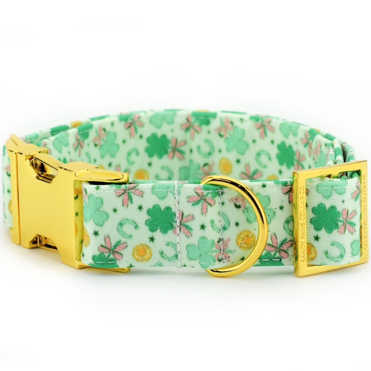 Lucky Bows Dog Collar ~ St Patrick's Day Cotton Fabric Fashion Dog Collar ~ Yellow Gold Metal Hardware ~ Sandy Paws Collar Co®